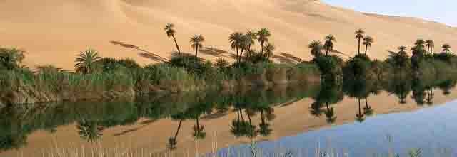 Libya Oasis